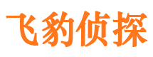 东城市侦探公司